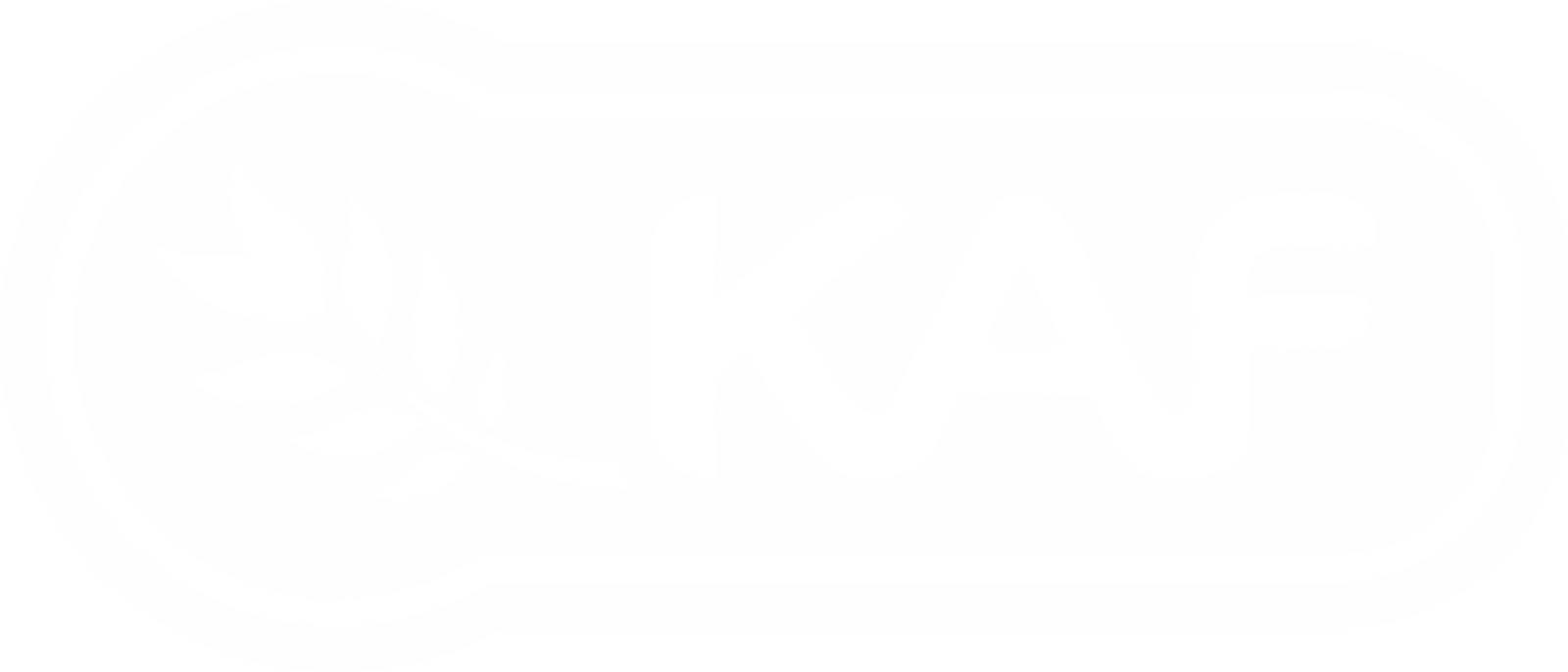 King Asia Food